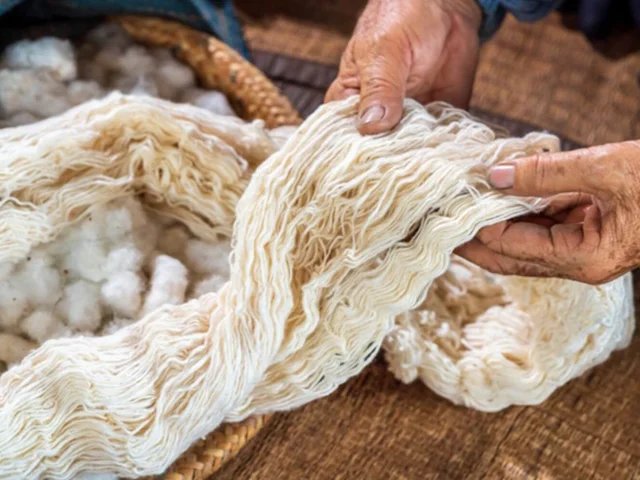 معرفی انواع الیاف و کاربرد هر کدام | راهنمای جامع از نگاه صنعتی و تخصصی