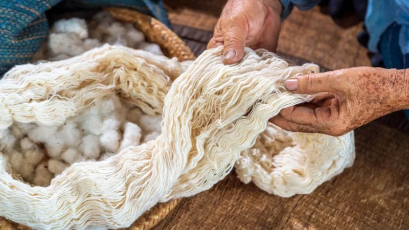 معرفی انواع الیاف و کاربرد هر کدام | راهنمای جامع از نگاه صنعتی و تخصصی