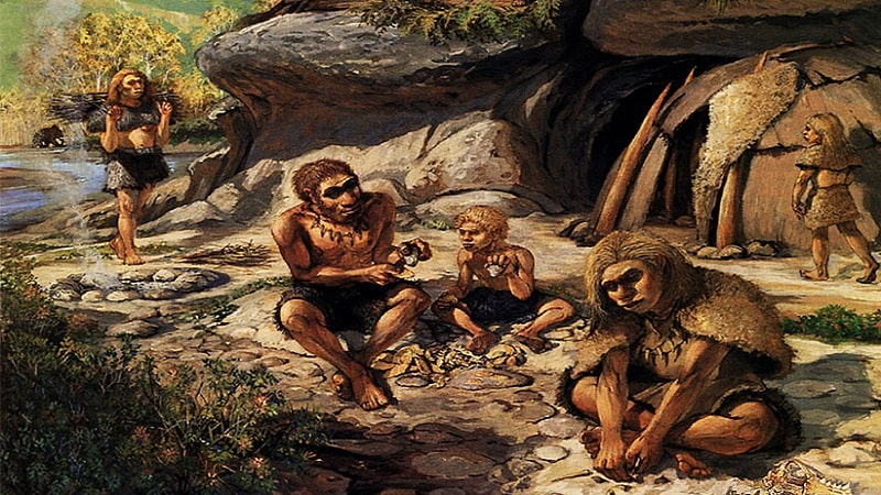 پارچه چه زمانی اختراع شد؟